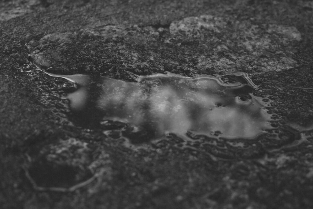 Untitled, Nostalgia