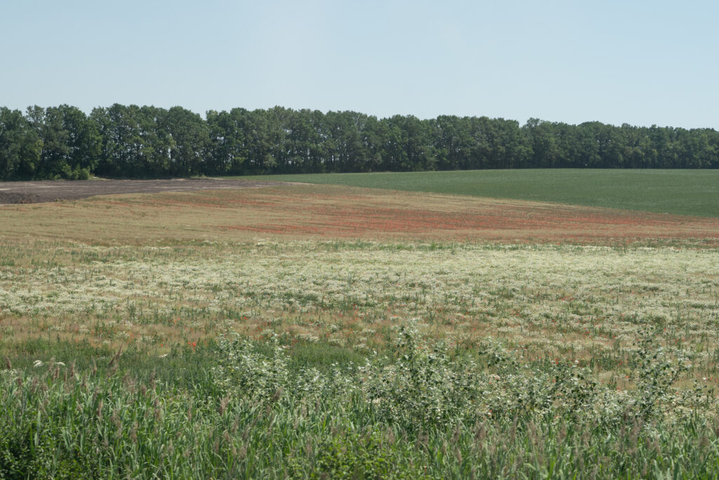 Ellen De - Quiet Resistance on the road to Ukraine , landscape