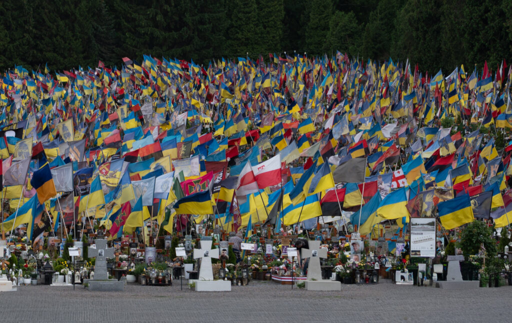 Ellen De - Quiet Resistance - Ukraine Field of Mars, Lychakiv Cemetery
